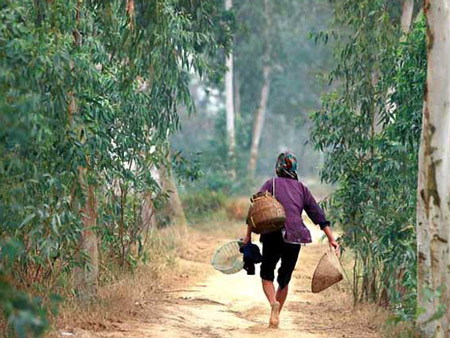 lung-cong-41213-6356c